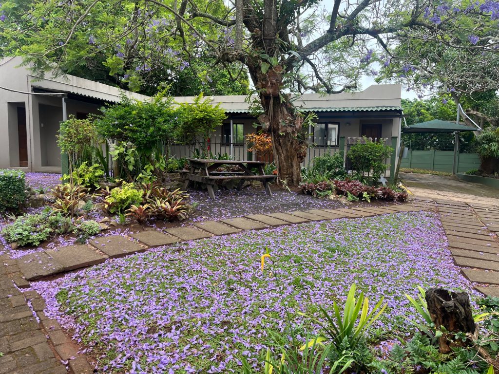 Trusted addiction treatment centre in South Africa